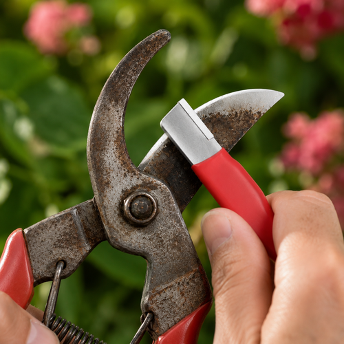 Stainless Steel Pruning Shears for Branches, Fruit Trees and Flowers - Red