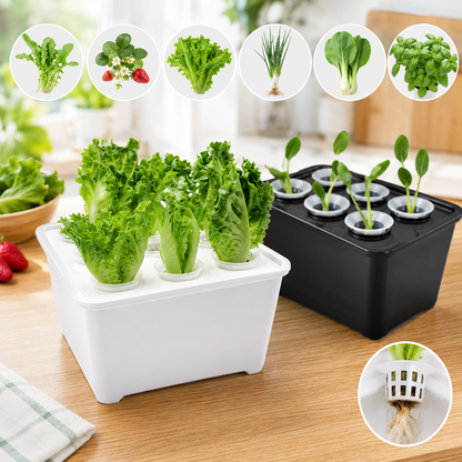 Indoor Hydroponic Grower Kit with Self-Watering Planting Containers
