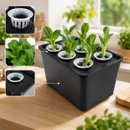 Indoor Hydroponic Grower Kit with Self-Watering Planting Containers