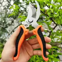 Stainless Steel Pruning Shears for Branches, Fruit Trees and Flowers