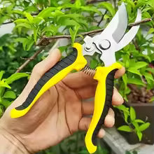 Stainless Steel Pruning Shears for Branches, Fruit Trees and Flowers