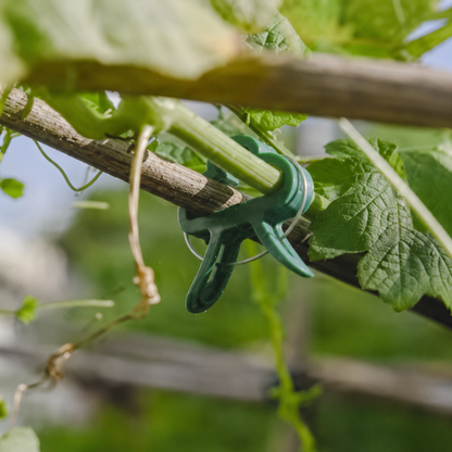 Reusable Plant Support Clips for Vines, Flowers and Seedlings - 25 Pack