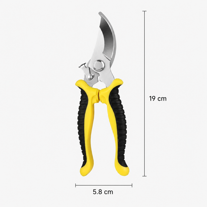Stainless Steel Pruning Shears for Branches, Fruit Trees and Flowers
