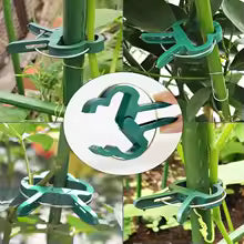Reusable Plant Support Clips for Vines, Flowers and Seedlings - 25 Pack