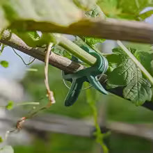 Reusable Plant Support Clips for Vines, Flowers and Seedlings - 25 Pack