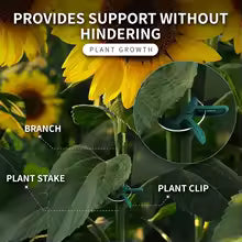 Reusable Plant Support Clips for Vines, Flowers and Seedlings - 25 Pack